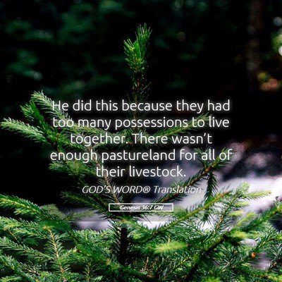 Picture 05 - Genesis 36:7 GW - He did this because they had too many possessions - Bible Verse Picture