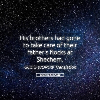 Picture 05 - Genesis 37:12 GW - His brothers had gone to take care of their - Bible Verse Picture
