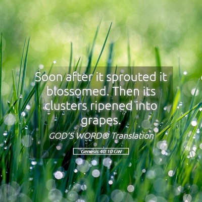 Picture 05 - Genesis 40:10 GW - Soon after it sprouted it blossomed. Then its - Bible Verse Picture