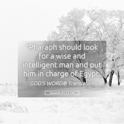 Picture 05 - Genesis 41:33 GW - “Pharaoh should look for a wise and intelligent - Bible Verse Picture
