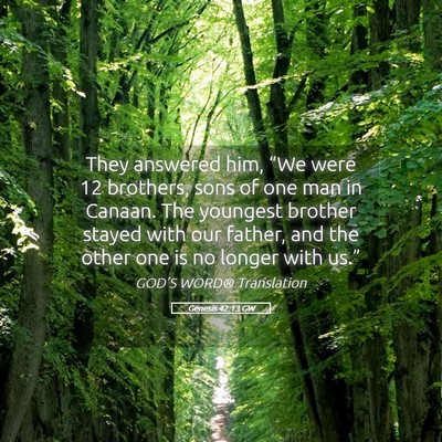 Picture 05 - Genesis 42:13 GW - They answered him, “We were 12 brothers, sons - Bible Verse Picture