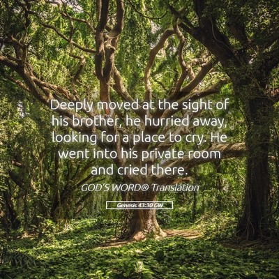 Picture 05 - Genesis 43:30 GW - Deeply moved at the sight of his brother, he - Bible Verse Picture