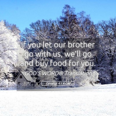 Picture 05 - Genesis 43:4 GW - If you let our brother go with us, we’ll go and - Bible Verse Picture