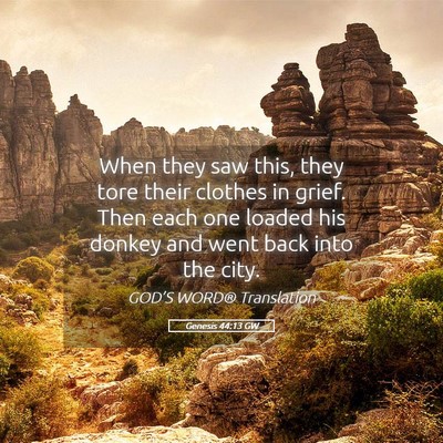 Picture 05 - Genesis 44:13 GW - When they saw this, they tore their clothes in - Bible Verse Picture