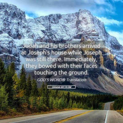 Picture 05 - Genesis 44:14 GW - Judah and his brothers arrived at Joseph’s - Bible Verse Picture