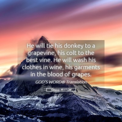 Picture 05 - Genesis 49:11 GW - He will tie his donkey to a grapevine, his colt - Bible Verse Picture
