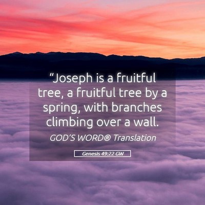 Picture 05 - Genesis 49:22 GW - “Joseph is a fruitful tree, a fruitful tree by - Bible Verse Picture