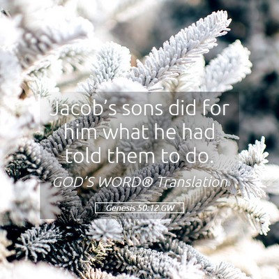 Picture 05 - Genesis 50:12 GW - Jacob’s sons did for him what he had told them - Bible Verse Picture