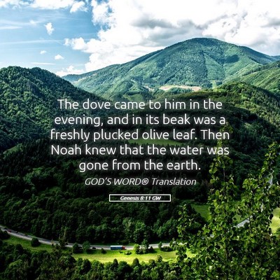 Picture 05 - Genesis 8:11 GW - The dove came to him in the evening, and in its - Bible Verse Picture