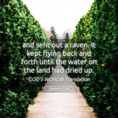 Picture 05 - Genesis 8:7 GW - and sent out a raven. It kept flying back and - Bible Verse Picture