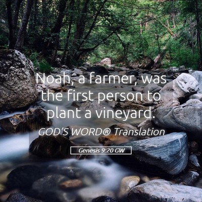 Picture 05 - Genesis 9:20 GW - Noah, a farmer, was the first person to plant a - Bible Verse Picture