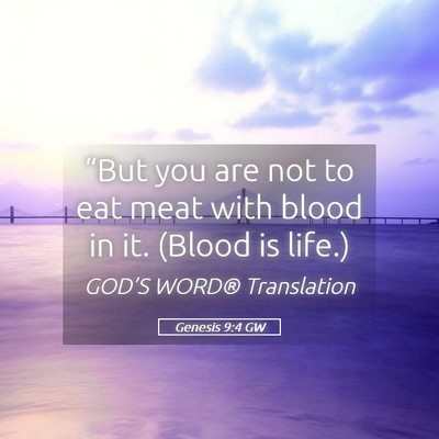 Picture 05 - Genesis 9:4 GW - “But you are not to eat meat with blood in it. - Bible Verse Picture