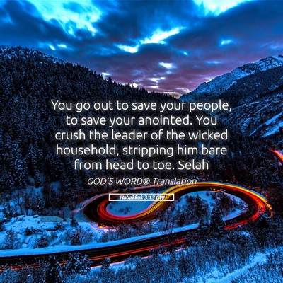 Picture 05 - Habakkuk 3:13 GW - You go out to save your people, to save your - Bible Verse Picture