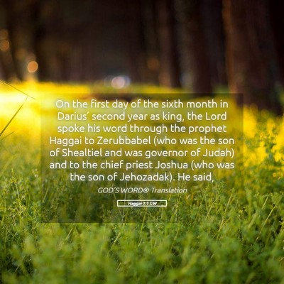 Picture 05 - Haggai 1:1 GW - On the first day of the sixth month in Darius’ - Bible Verse Picture
