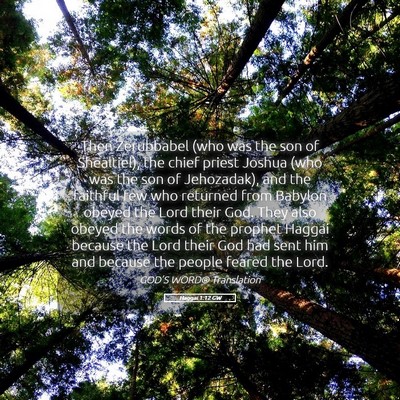 Picture 05 - Haggai 1:12 GW - Then Zerubbabel (who was the son of Shealtiel), - Bible Verse Picture