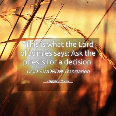 Picture 05 - Haggai 2:11 GW - “This is what the Lord of Armies says: Ask the - Bible Verse Picture