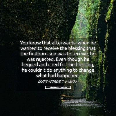 Picture 05 - Hebrews 12:17 GW - You know that afterwards, when he wanted to - Bible Verse Picture