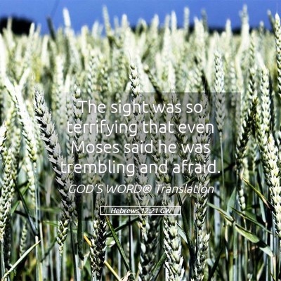 Picture 05 - Hebrews 12:21 GW - The sight was so terrifying that even Moses said - Bible Verse Picture
