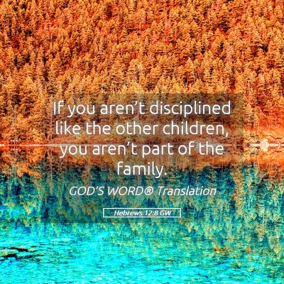 Picture 05 - Hebrews 12:8 GW - If you aren’t disciplined like the other - Bible Verse Picture