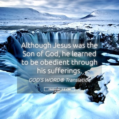 Picture 05 - Hebrews 5:8 GW - Although Jesus was the Son of God, he learned to - Bible Verse Picture