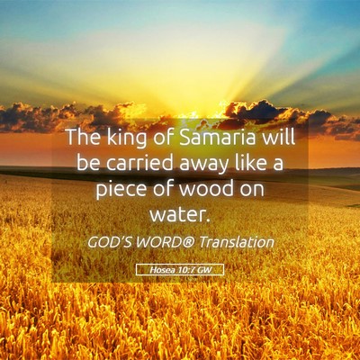 Picture 05 - Hosea 10:7 GW - The king of Samaria will be carried away like a - Bible Verse Picture