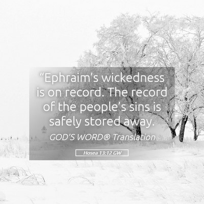 Picture 05 - Hosea 13:12 GW - “Ephraim’s wickedness is on record. The - Bible Verse Picture
