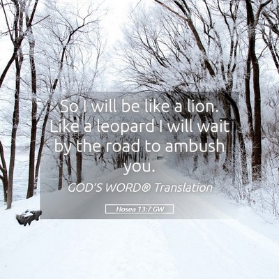 Picture 05 - Hosea 13:7 GW - So I will be like a lion. Like a leopard I will - Bible Verse Picture