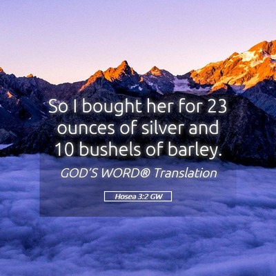 Picture 05 - Hosea 3:2 GW - So I bought her for 23 ounces of silver and 10 - Bible Verse Picture
