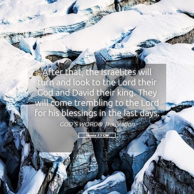 Picture 05 - Hosea 3:5 GW - After that, the Israelites will turn and look to - Bible Verse Picture