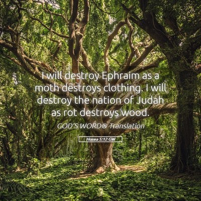 Picture 05 - Hosea 5:12 GW - I will destroy Ephraim as a moth destroys - Bible Verse Picture