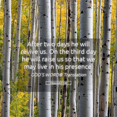 Picture 05 - Hosea 6:2 GW - After two days he will revive us. On the third - Bible Verse Picture