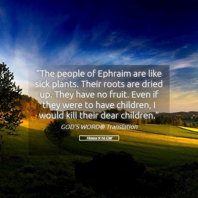 Picture 05 - Hosea 9:16 GW - “The people of Ephraim are like sick plants. - Bible Verse Picture