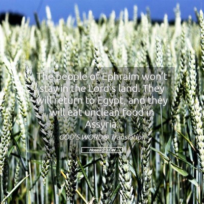 Picture 05 - Hosea 9:3 GW - The people of Ephraim won’t stay in the - Bible Verse Picture