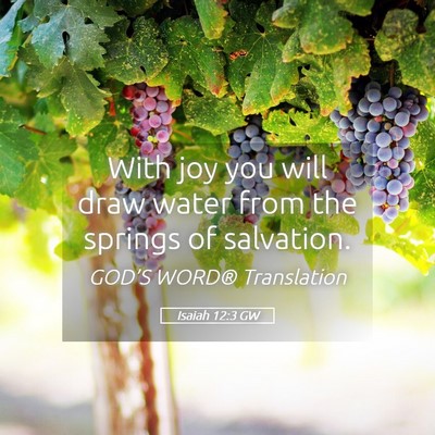 Picture 05 - Isaiah 12:3 GW - With joy you will draw water from the springs of - Bible Verse Picture