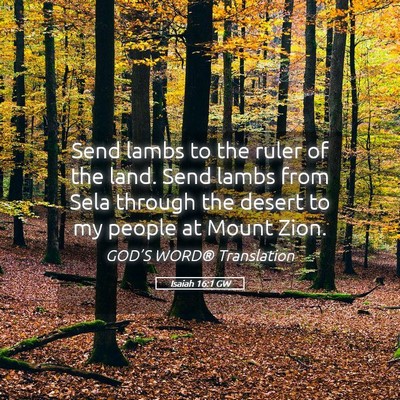 Picture 05 - Isaiah 16:1 GW - Send lambs to the ruler of the land. Send lambs - Bible Verse Picture