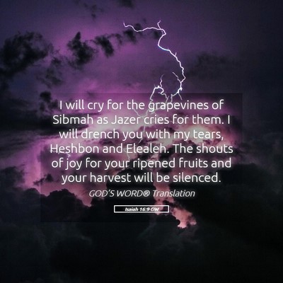 Picture 05 - Isaiah 16:9 GW - I will cry for the grapevines of Sibmah as Jazer - Bible Verse Picture