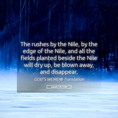 Picture 05 - Isaiah 19:7 GW - The rushes by the Nile, by the edge of the Nile, - Bible Verse Picture