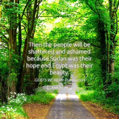 Picture 05 - Isaiah 20:5 GW - Then the people will be shattered and ashamed - Bible Verse Picture