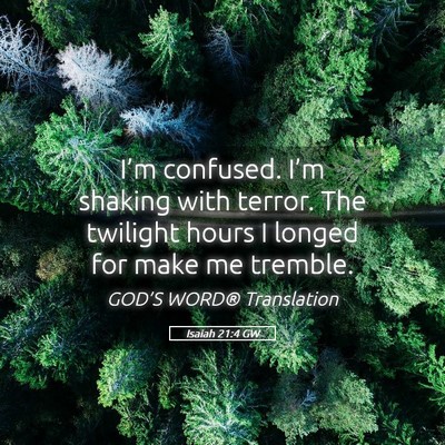 Picture 05 - Isaiah 21:4 GW - I’m confused. I’m shaking with terror. The - Bible Verse Picture