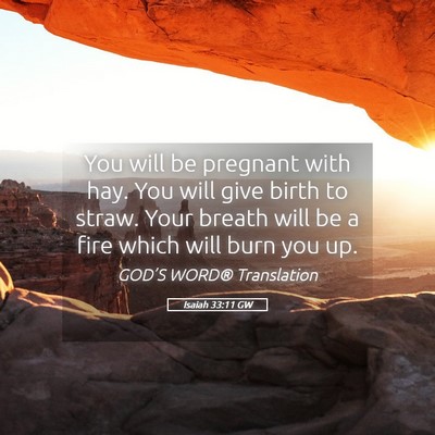 Picture 05 - Isaiah 33:11 GW - You will be pregnant with hay. You will give - Bible Verse Picture