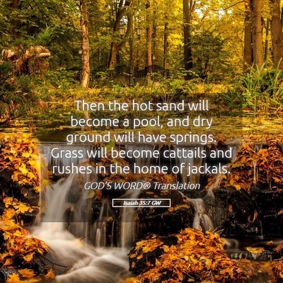 Picture 05 - Isaiah 35:7 GW - Then the hot sand will become a pool, and dry - Bible Verse Picture