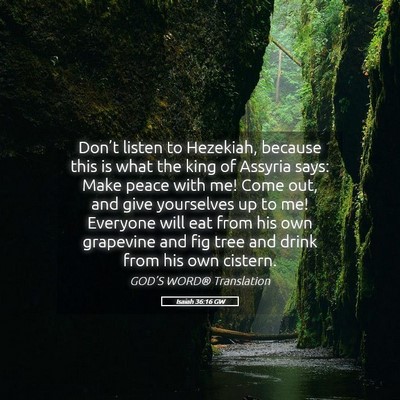 Picture 05 - Isaiah 36:16 GW - Don’t listen to Hezekiah, because this is what - Bible Verse Picture