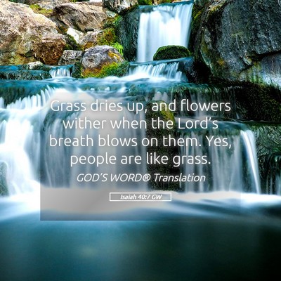 Picture 05 - Isaiah 40:7 GW - Grass dries up, and flowers wither when the - Bible Verse Picture