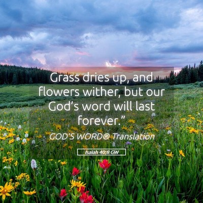 Picture 05 - Isaiah 40:8 GW - Grass dries up, and flowers wither, but our - Bible Verse Picture