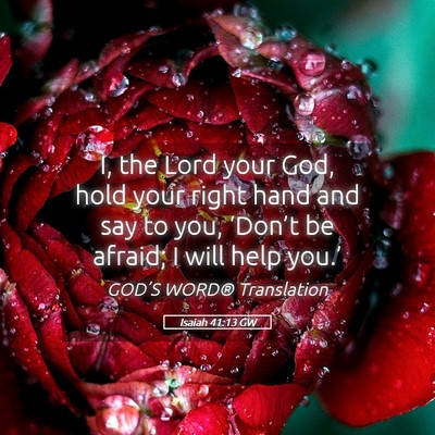 Picture 05 - Isaiah 41:13 GW - I, the Lord your God, hold your right hand and - Bible Verse Picture