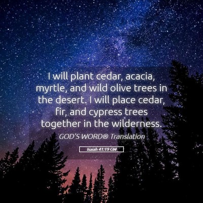 Picture 05 - Isaiah 41:19 GW - I will plant cedar, acacia, myrtle, and wild - Bible Verse Picture