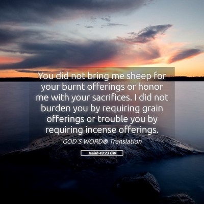 Picture 05 - Isaiah 43:23 GW - You did not bring me sheep for your burnt - Bible Verse Picture
