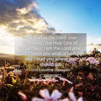 Picture 05 - Isaiah 48:17 GW - This is what the Lord, your Defender, the Holy - Bible Verse Picture