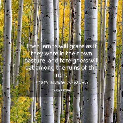 Picture 05 - Isaiah 5:17 GW - Then lambs will graze as if they were in their - Bible Verse Picture