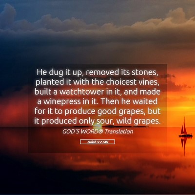 Picture 05 - Isaiah 5:2 GW - He dug it up, removed its stones, planted it with - Bible Verse Picture
